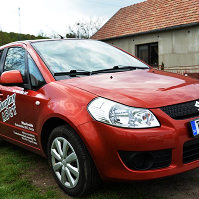 suzuki1